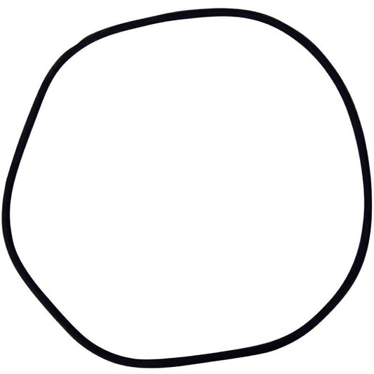 Pentair 24850-0009 O-Ring