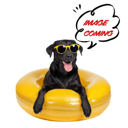 Discount Pool Supplies Image Coming Soon